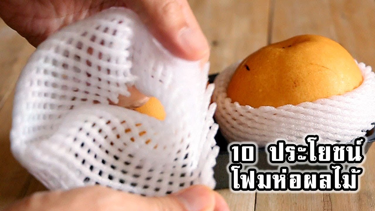 10 Way To Use Fruit Foam Net Thaitrick Thaitrick