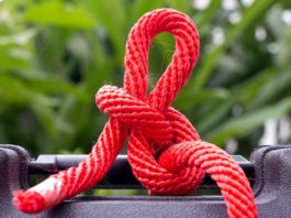 Essential Knots for Beginner